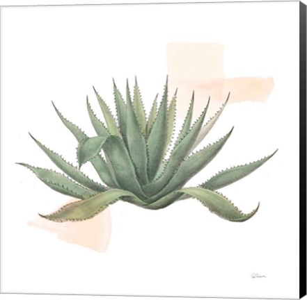 Framed Desert Color Succulent I Print