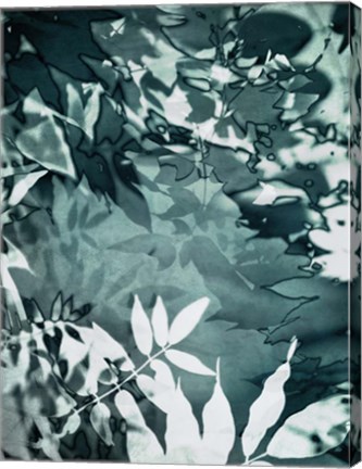 Framed Abstract Leaves Print