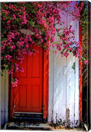 Framed Red Door Print