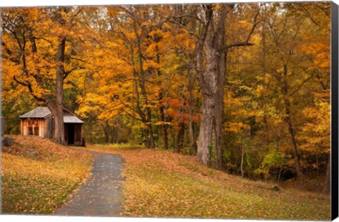 Framed Autumn Home Print