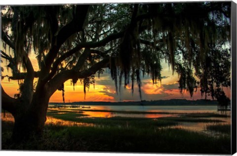 Framed Savannah Evening Print