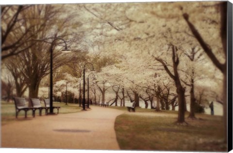 Framed Springtime Stroll Print