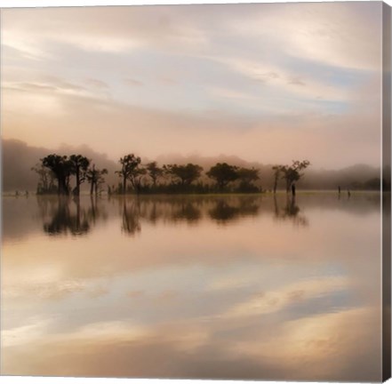 Framed Dawn Mist on the Amazon Print