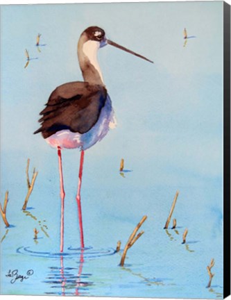 Framed Black Neck Stilt III Print