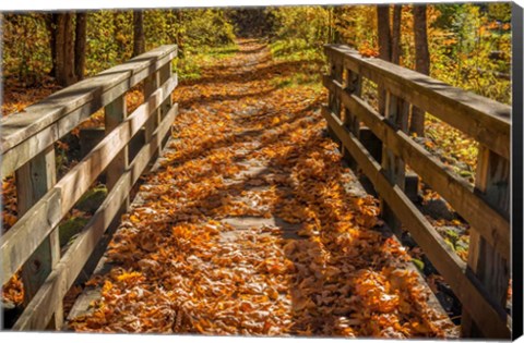 Framed Fall On The Footbridge Print