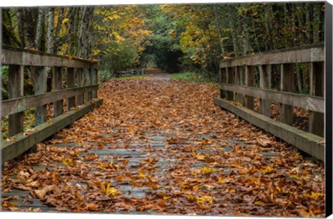 Framed Fall on the Goose (Victoria) Print