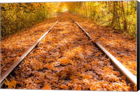 Framed Train Tracks in The Fall Print