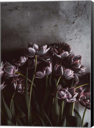 Framed Dark Tulips Print