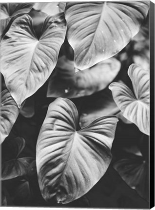 Framed Leaves of Grey Print