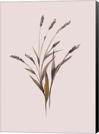 Framed Wheat Print