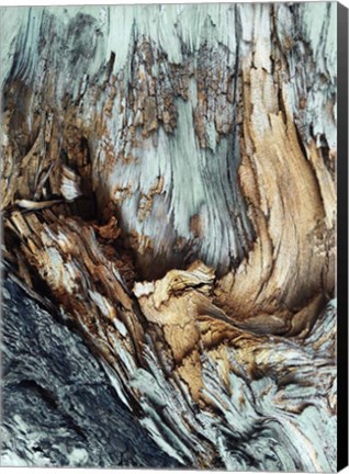 Framed Wooden Print