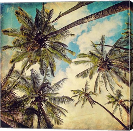 Framed Kauai Island Palms Print