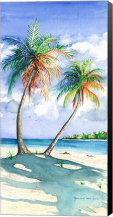 Framed Palm Shadows Print