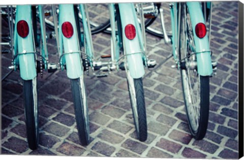 Framed Bicycle Line Up 1 Print
