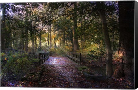 Framed Beyond the Wooden Bridge Print