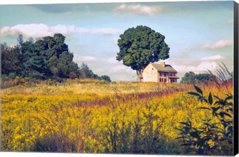 Framed House on a Hill Print