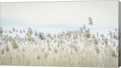 Framed Weaving Through Earth and Sky Print