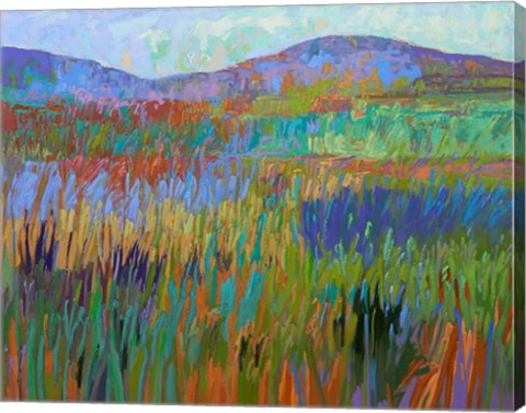 Framed Color Field No. 68 Print