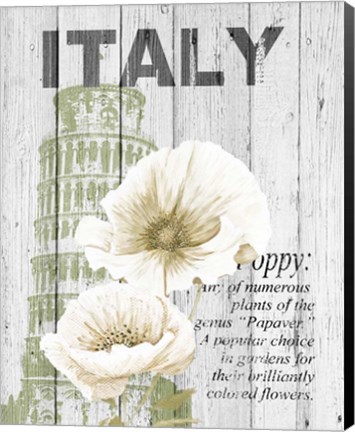 Framed Italy Poppies Print
