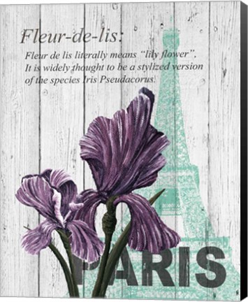 Framed Paris Iris Print