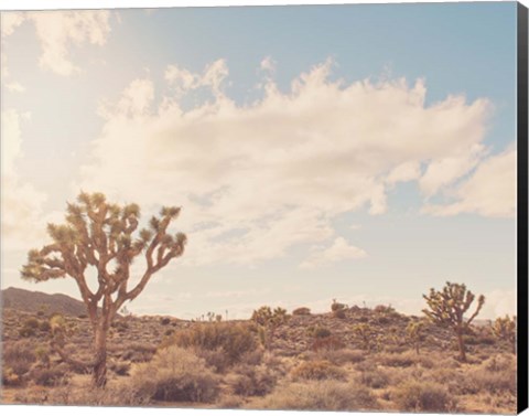 Framed Sunshine &amp; Joshua Trees Print