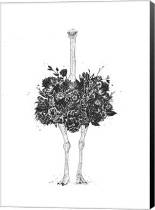 Framed Floral Ostrich Print