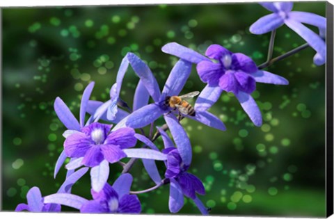 Framed Bee and Purple Flowers Print