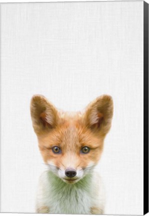 Framed Baby Fox Print