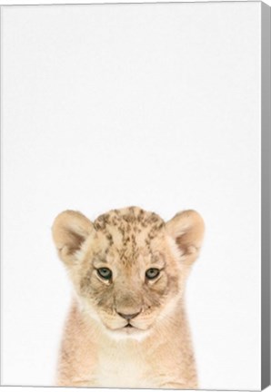 Framed Baby Lion Print