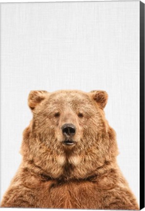 Framed Bear Print