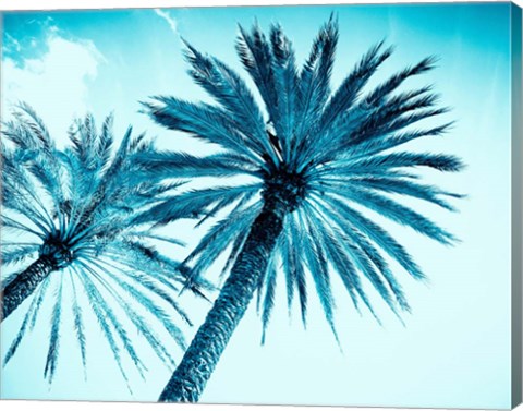 Framed Chic Palms Print