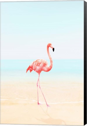 Framed Flamingo on the Beach II Print