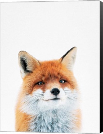 Framed Fox Print