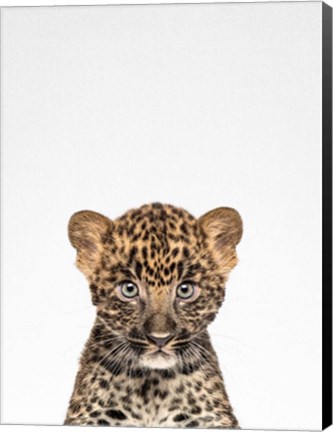 Framed Leopard Print