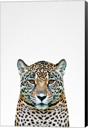 Framed Leopard II Print