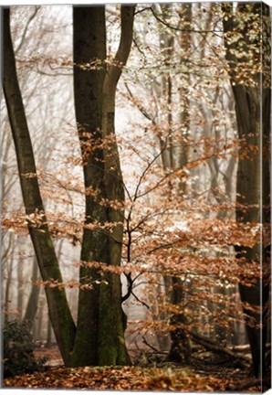 Framed Bronze Tree Print