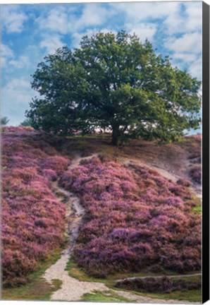 Framed Purple Heath Print