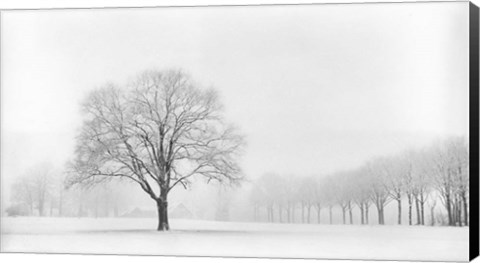 Framed Standing Alone Print