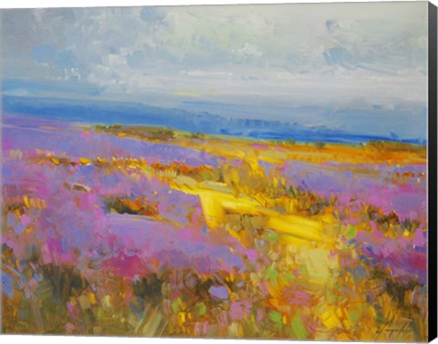 Framed Field of Lavenders 2 Print