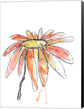 Framed Orange Modern Botanical Print