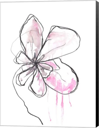 Framed Pink Modern Botanical Print