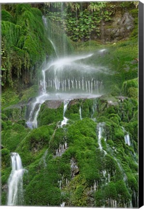 Framed Moss Waterfall Print