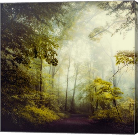 Framed Glorious Woods Print
