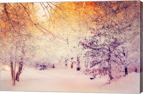 Framed Snowy Sunrise Print
