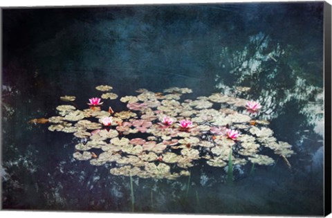 Framed Waterlilies Print