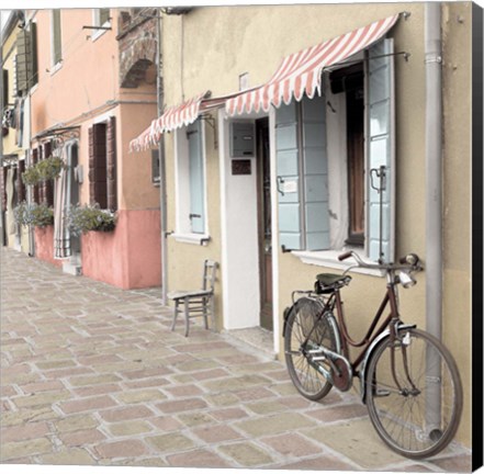 Framed Venetian Bicycle Print