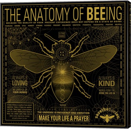 Framed Anatomy 0F Bee-Ing Print