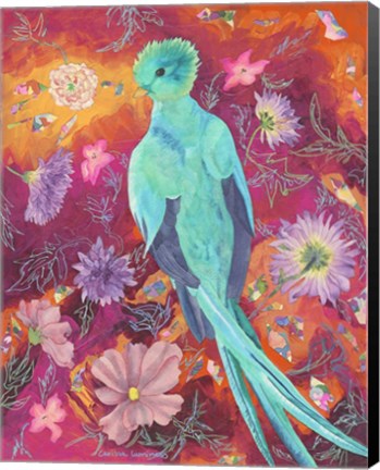 Framed Quetzecal Print