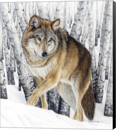 Framed Silent Traveler Print