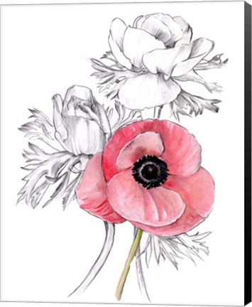 Framed Anemone by Number I Print